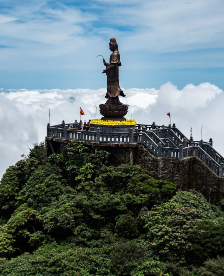 Sapa